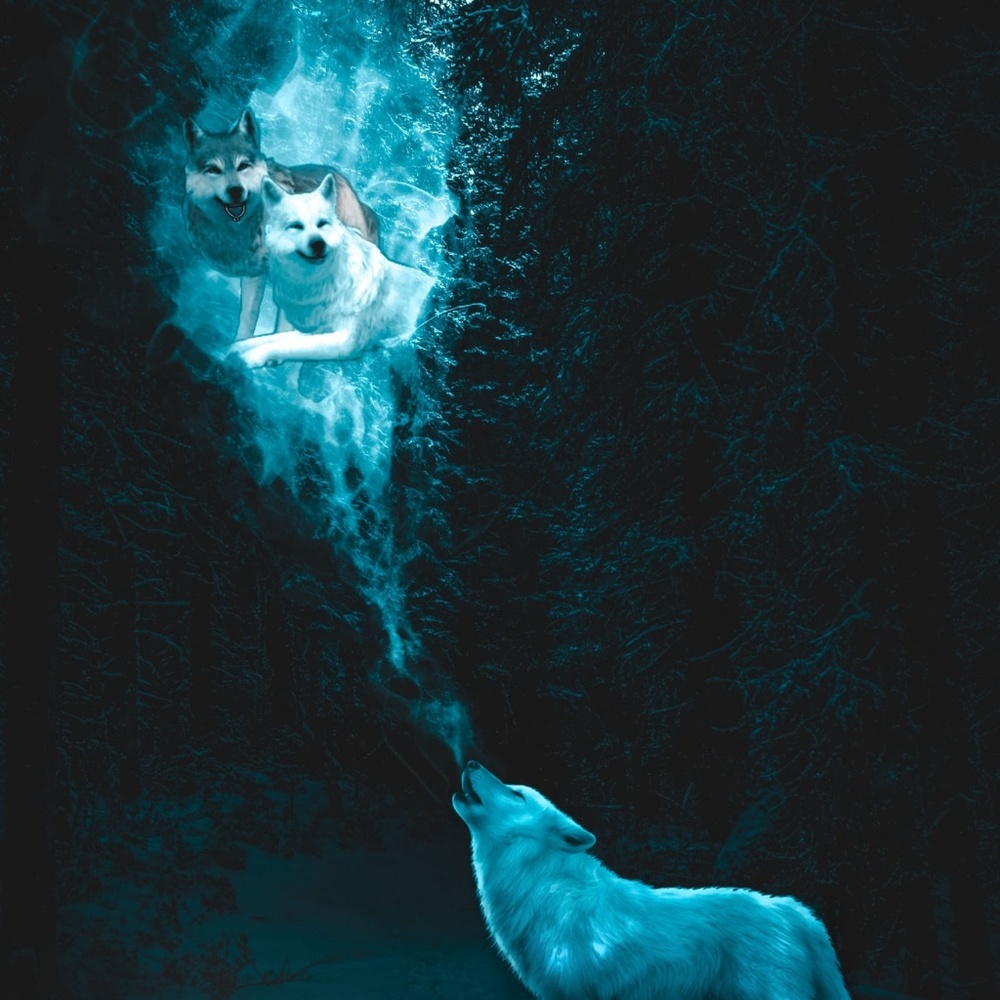 Meet your Posher, Jhamee